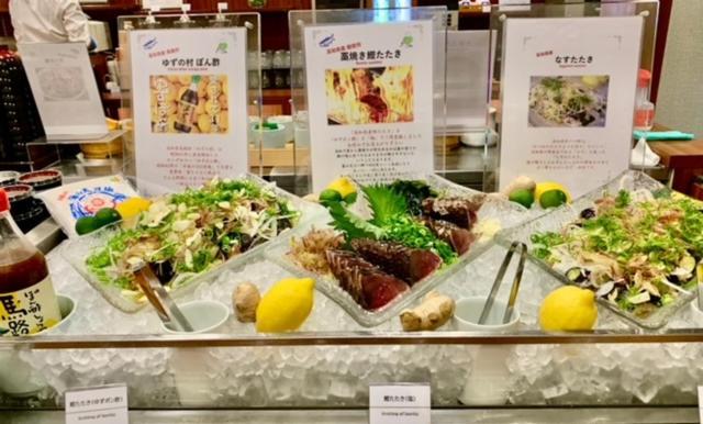 多美迎高知酒店 Kōchi 外观 照片